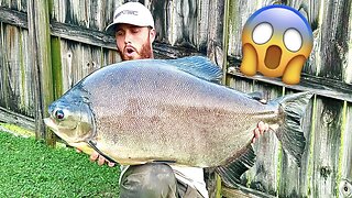 Catching GIANT Exotic Fish In South Florida!!!