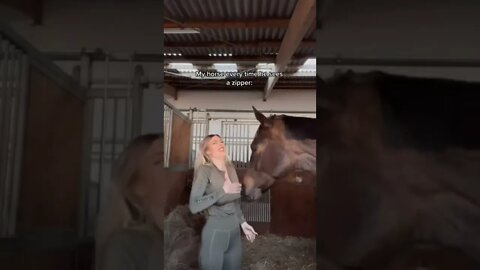 the horse is frisky 👩👩👩👩💔💔💔#FUNNY ANIMALS#FUNNY #ADORABLY ANIMALS,#SHORTS