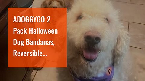 ADOGGYGO 2 Pack Halloween Dog Bandanas, Reversible Triangle Dog Scarf Accessories Halloween Ban...