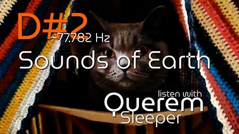 D#2 ~77.782Hz Sounds of Earth | with Querem Sleeper
