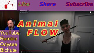 Ren Animal Flow Reaction