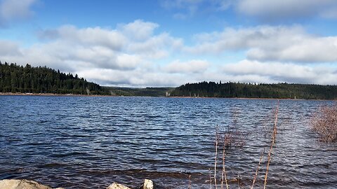 SILENT PERSPECTIVES (4K) of SERENE & PRISTINE Clear Lake! | Mount Hood National Forest | Oregon | 4K