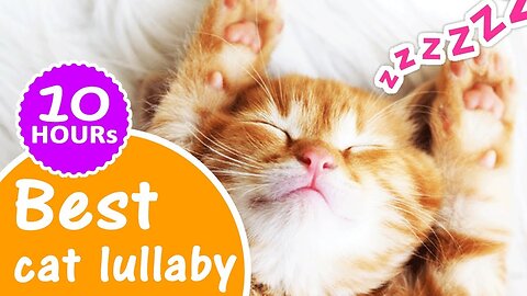 Cat lullabies 10 Hours ★ How to sleep a cat with a lullaby music