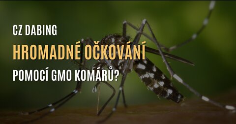 Hromadné očkování pomocí GMO komárů? (CZ DABING)