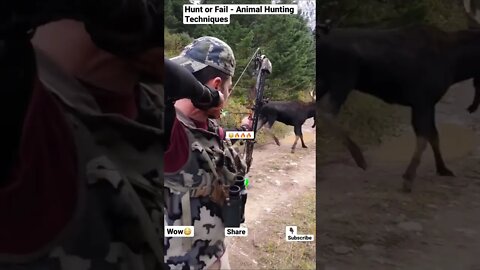 Hunt or Fail - Animal Hunting Techniques #shorts #animals #wildlife #animalhunting