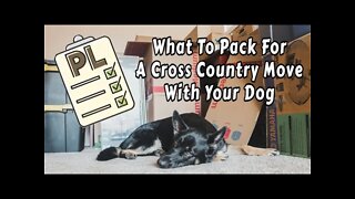 Packing for a Road Trip / Move Cross Country with a Dog