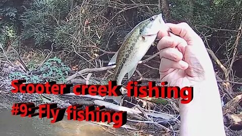 Scooter Creek Fishing adventure #9: Fly Fishing for Bass and sunfish