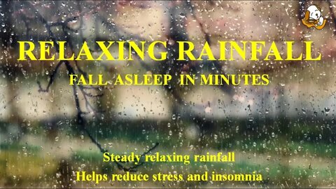 RELAXING RAIN. Instantly Fall Asleep, Natural Rain Sound. For Meditation, Ambience, Study & More.