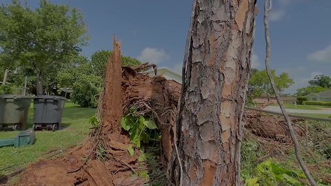 Fort Pierce storm knocks down trees, damages RV
