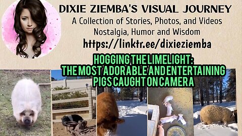 Hogging the Limelight: The Most Adorable and Entertaining Pigs Caught on Camera