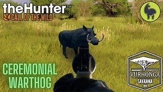 Ceremonial Warthog, Vurhonga Savanna | theHunter: Call of the Wild (PS5 4K)