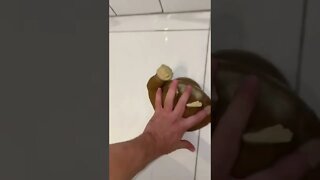 Esse macaquinho virou febre no mundo