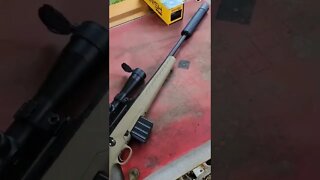 350 Legend Suppressed [Banish 46 suppressor] #shorts