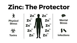 Discover the powerful energy of zinc and the different ways it protects the body!