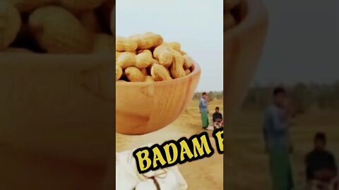 Badam badam a dada kacha badam ar kache naiko bubu badam !!