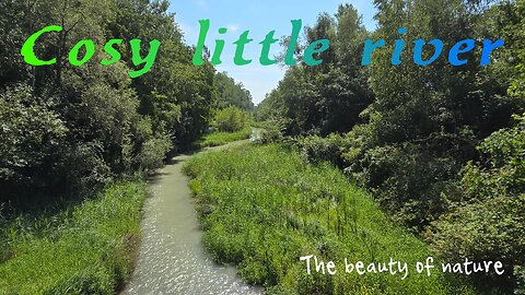 Beautiful river in nature / a very beautiful river in the middle of a forest.