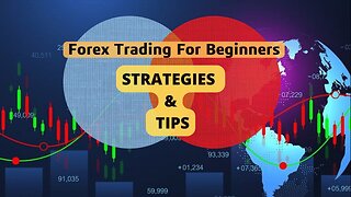 How To Trade Forex For Beginners in 2024 ( complete Guide)