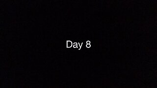 Day 8