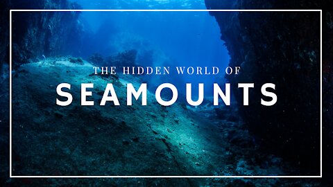 The Hidden World of Seamounts