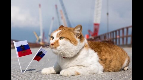 2019: Mostik, mascot of the Crimean Bridge