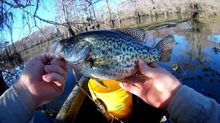 SHTF Crappie Fishing.....for MEN ONLY