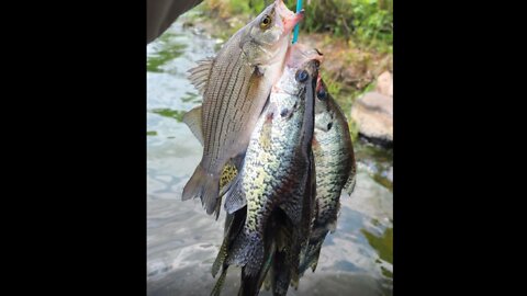 Another Crappie Adventure @ Cross Lake, MN