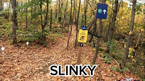 SLINKY BROMONT DOWNHILL P7