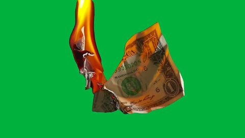 Green Screen – Dollar Bill on Fire Bu