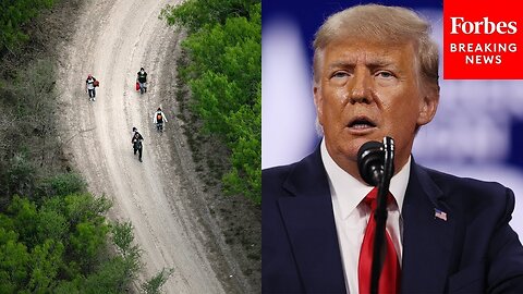 Trump Pledges To Carry Out 'The Largest Domestic Deportation Operation In American History'