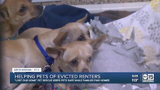Valley pet rescues launch website to help evicted pets