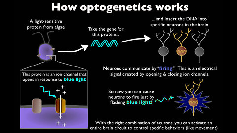 Optogenetics and Enhancing Brain Functions-A World Economic Forum Discussion-Ideas @Davos-WIRED