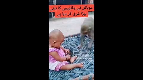 Monkey 🙈 playing game on tab very funny