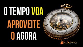 O TEMPO VOA. Viva o presente, aproveite o AGORA.