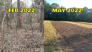 Spring food plots from Southern Illinois land! Just a man and his dog..