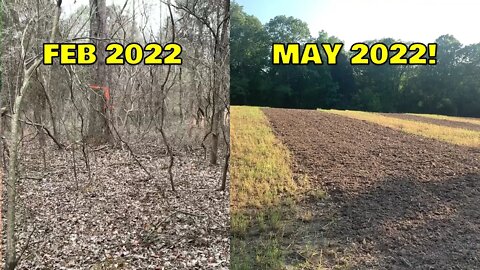 Spring food plots from Southern Illinois land! Just a man and his dog..