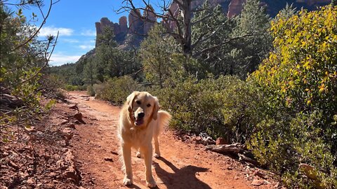 Hiking to Soldier's Pass Cave with a Golden Retriever
