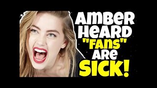Amber Heard Fans Attack Someone's Dead Dog Because They Supported Johnny Depp