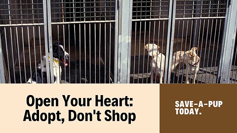 Open Your Heart: Adopt, Don't Shop - Save a Pup Today