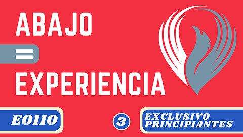 ABAJO = EXPERIENCIA (E0110)