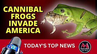 Cannibal Frogs Invade America | Maverick News