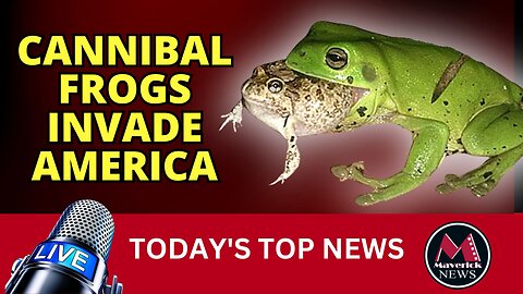 Cannibal Frogs Invade America | Maverick News