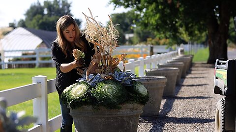 Creating Tiered Fall Containers for Maximum Plant Interest! 🍂🙌🌿