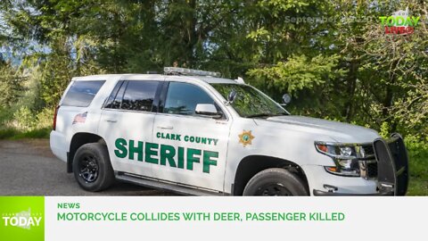 Motorcycle collides with deer, passenger killed