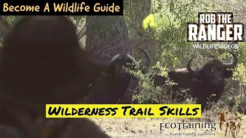 HOW TO: Become A Wildlife Guide |@EcoTraining TV| Wilderness Trails Skills