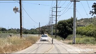 SELF DRIVING TESLA Misses signs signals Runs over kids dogs