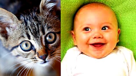 Baby And Cat Fun And Cute #7 - Funny Baby Videos