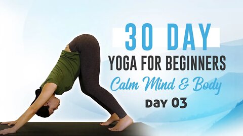 Beginners Yoga, How to do Down Dog, Warrior 1 & 2 | 30 Day Yoga For A Calm Mind w/ Eliz, Day 3