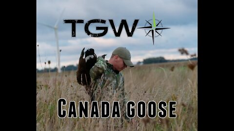Episode 19: Canada Goose - Sizzle Reel Promo