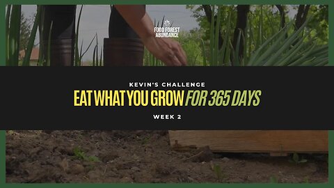 Kevin’s “Eat what you grow for 365 days” challenge- Week 2