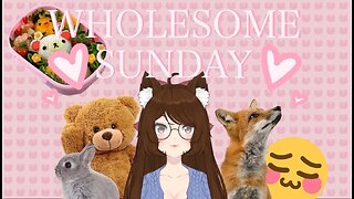 Wholesome Sunday 3